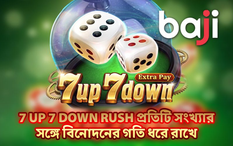7 Up 7 Down Rush প্রতিটি সংখ্যার সঙ্গে বিনোদনের গতি ধরে রাখে